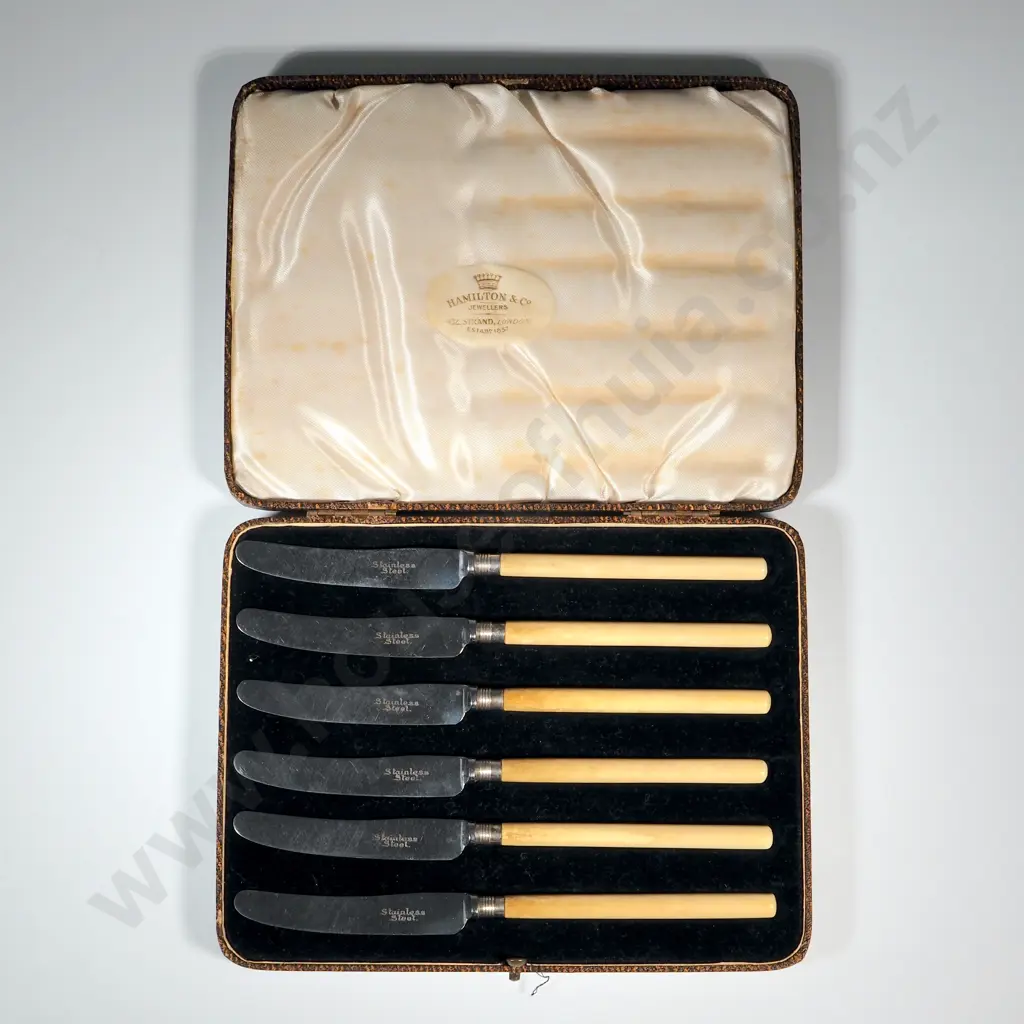 Boxed Set Of Stainless Steel & Bone Handled Fruit Knives, Retailed By Hamilton & Co. Jewellers 432 Strand, Image 1++