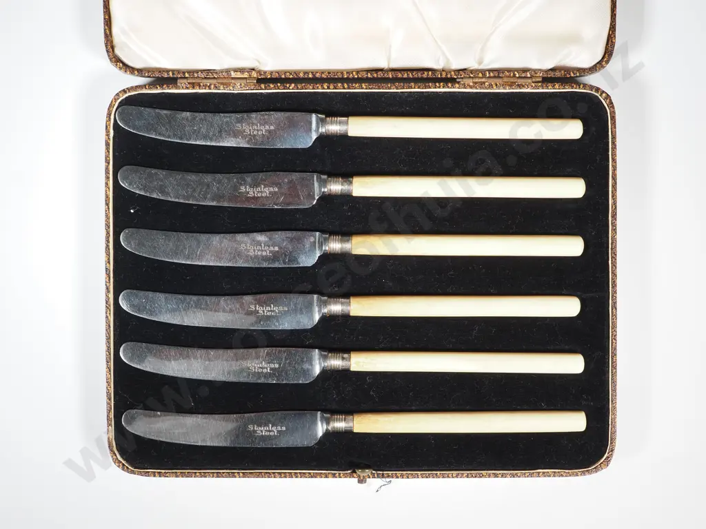 Boxed Set Of Stainless Steel & Bone Handled Fruit Knives, Retailed By Hamilton & Co. Jewellers 432 Strand, Image 1++