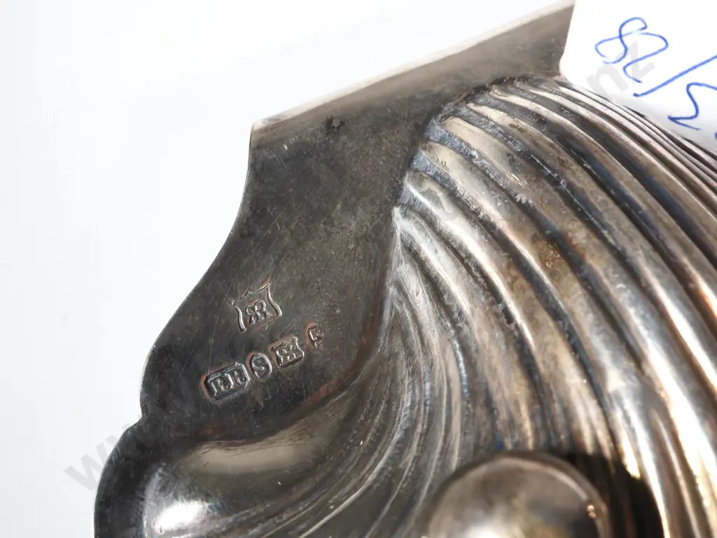 S/P Shell Dish Image 1++