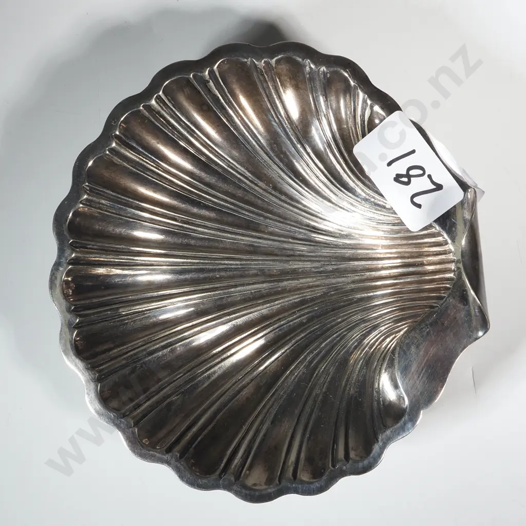 S/P Shell Dish Image 1++