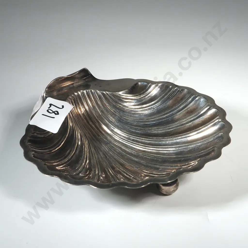 S/P Shell Dish Image 1++