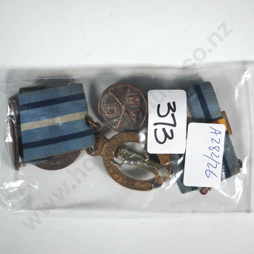 Assorted Badges including Lifesaving Image 1++