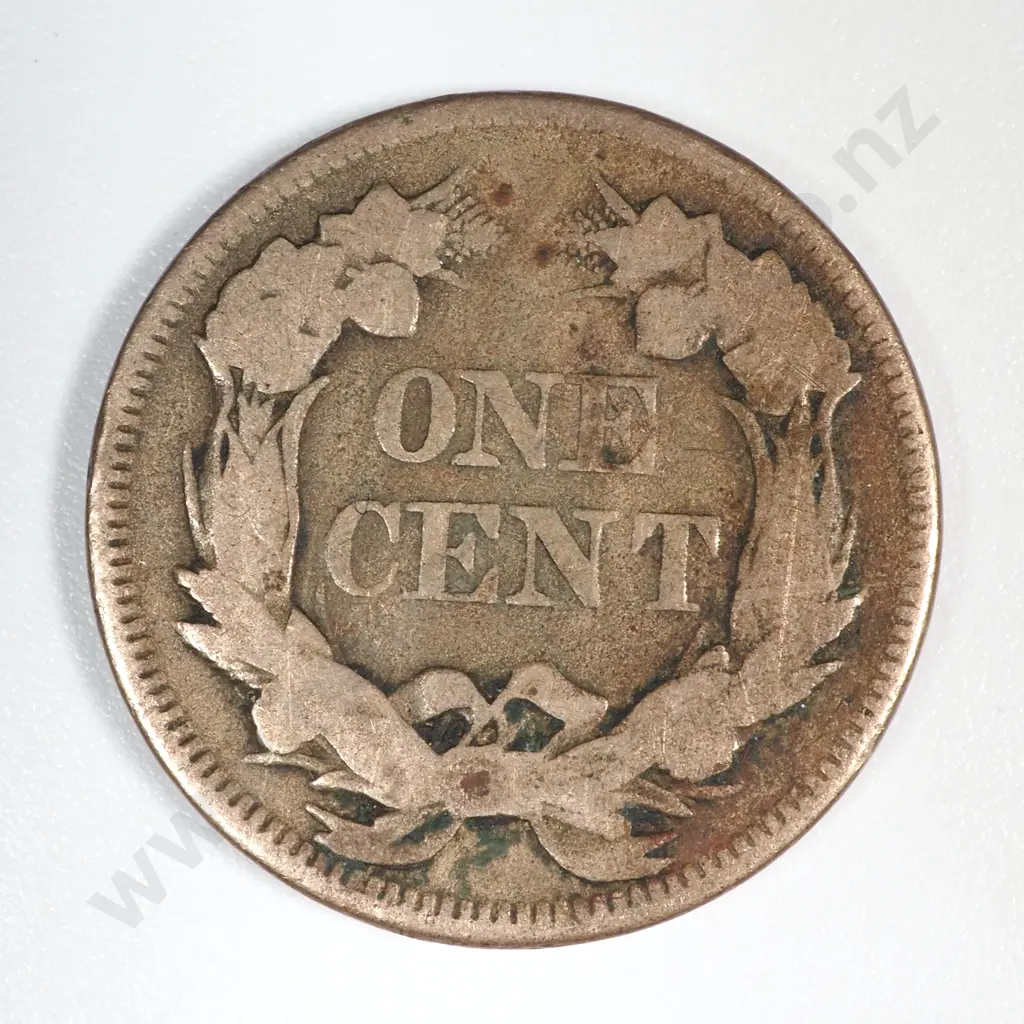 1857 United States of America One Cent Coin  Image 1++