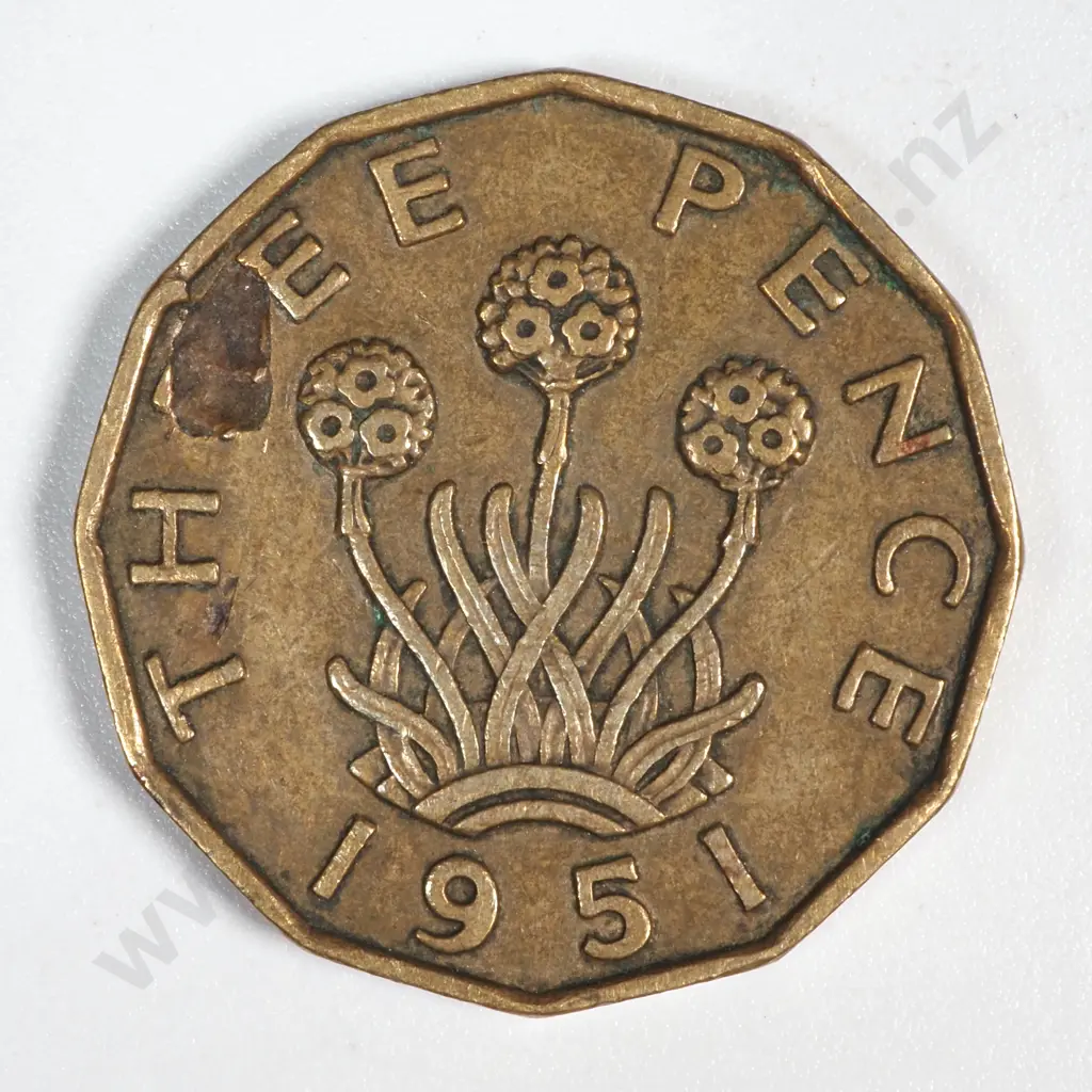 1951 UK Threepence Coin Image 1++