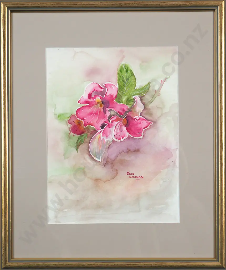 Joan Woodgate. Pretty In Pink .Watercolour. Image 1++