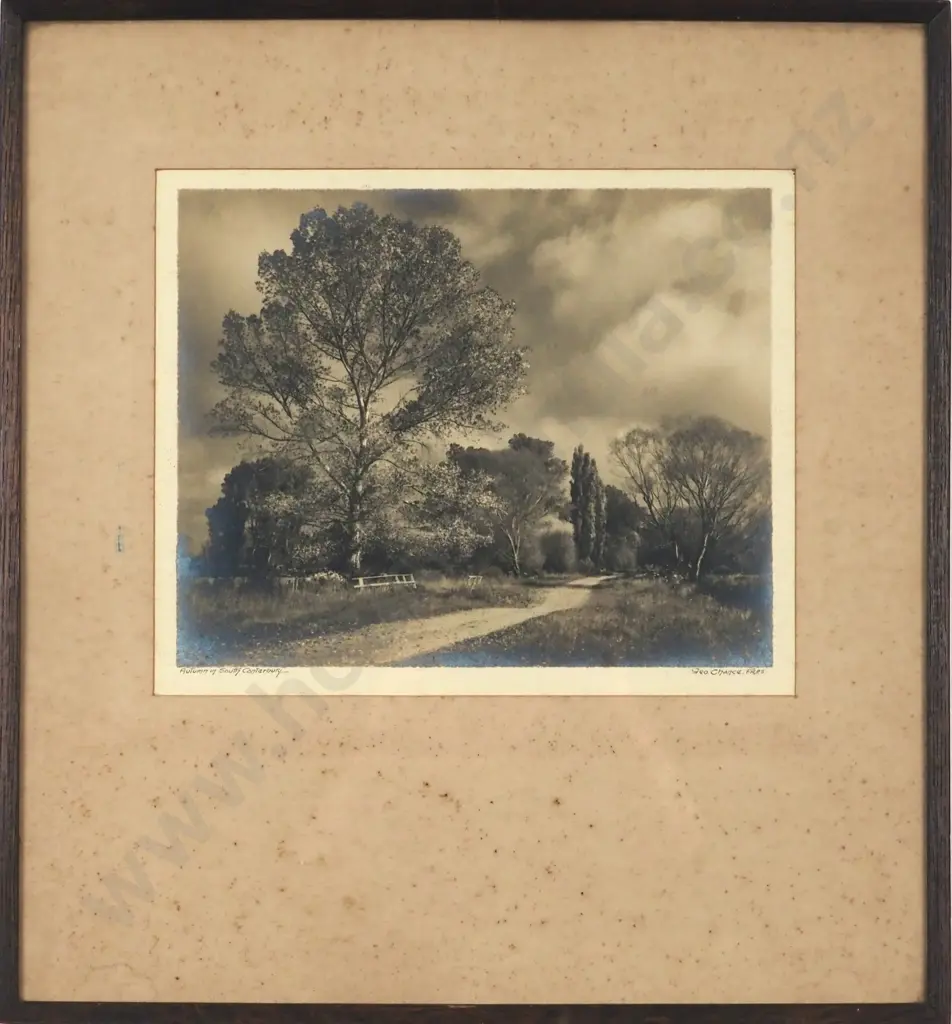 George Chance. Autumn In South Canterbury. Photograph. Image 1++
