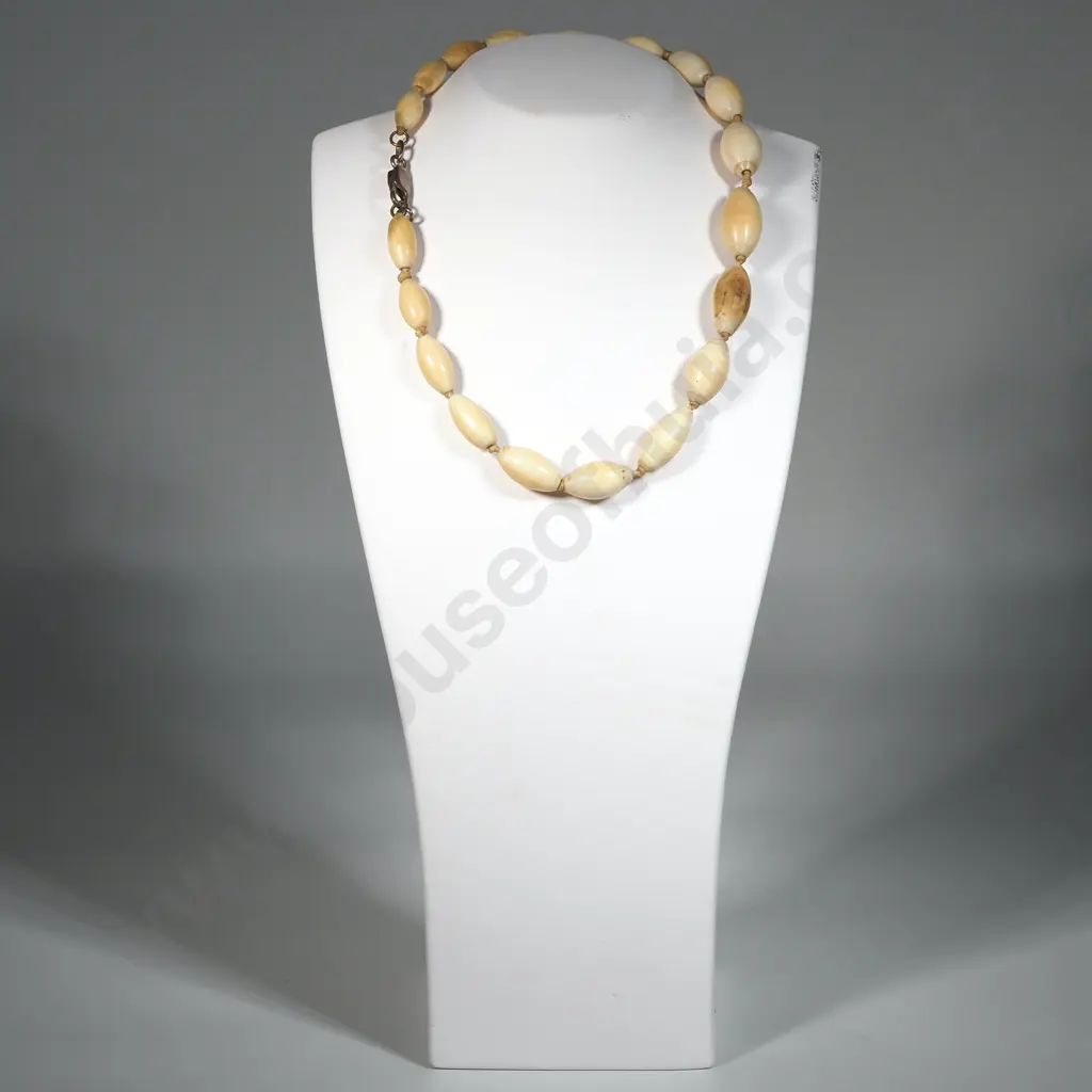 Ivory Bead Necklace  Image 1++
