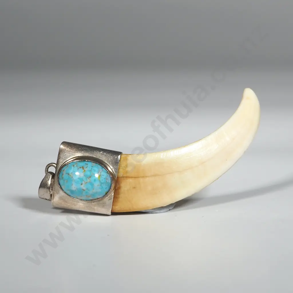 Sterling Silver, Turquoise Boer Tusk Pendant Image 1++