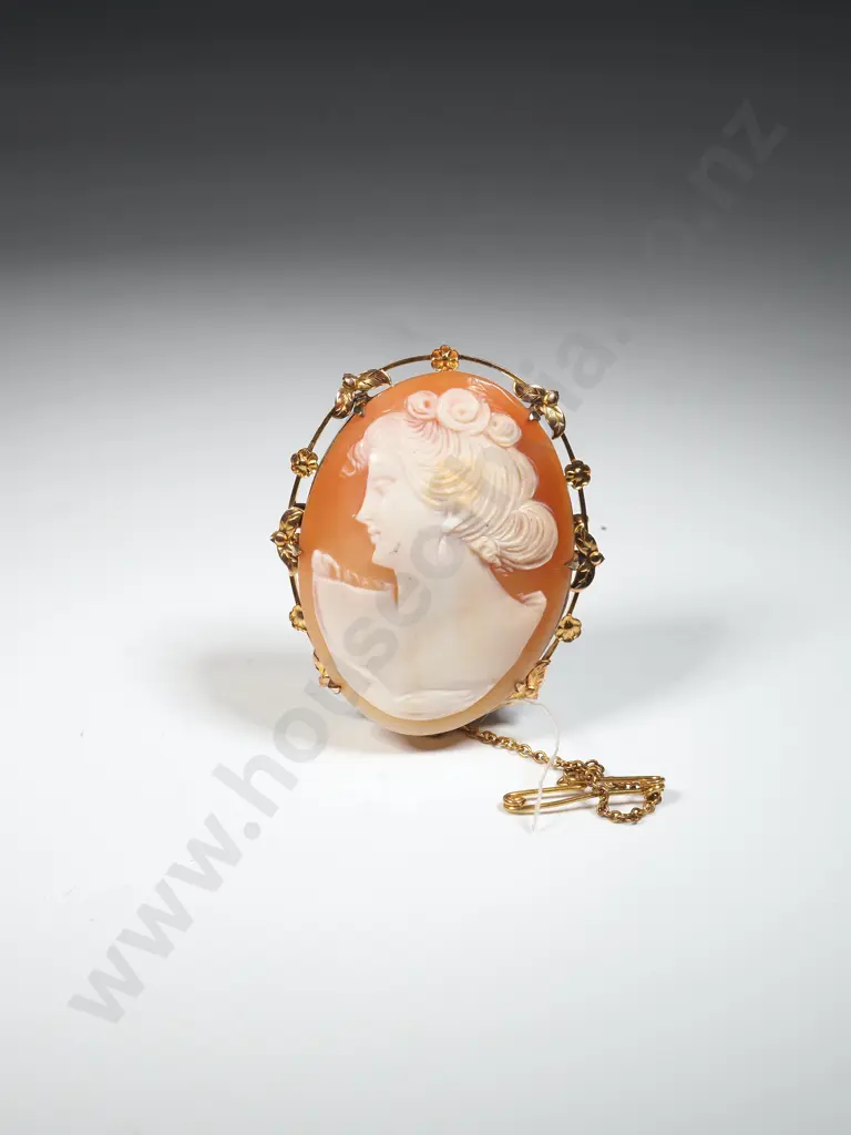 9ct Gold Lined Cameo Brooch Image 1++