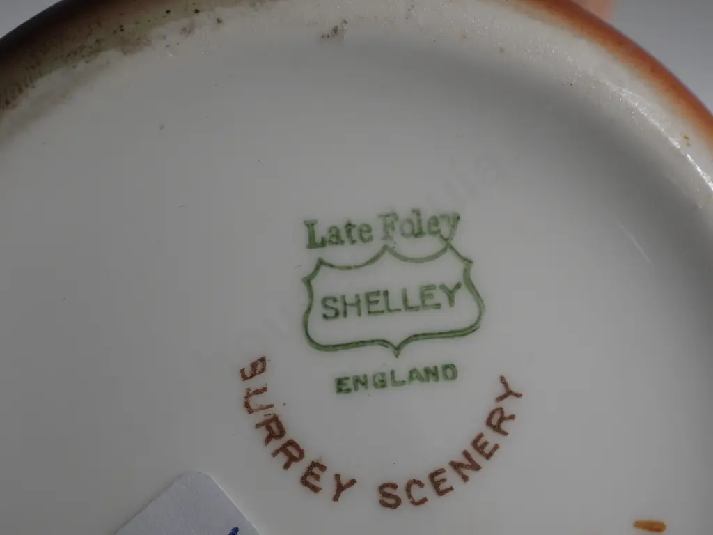 Small Shelley Jug - Surrey Scenery. Image 1++