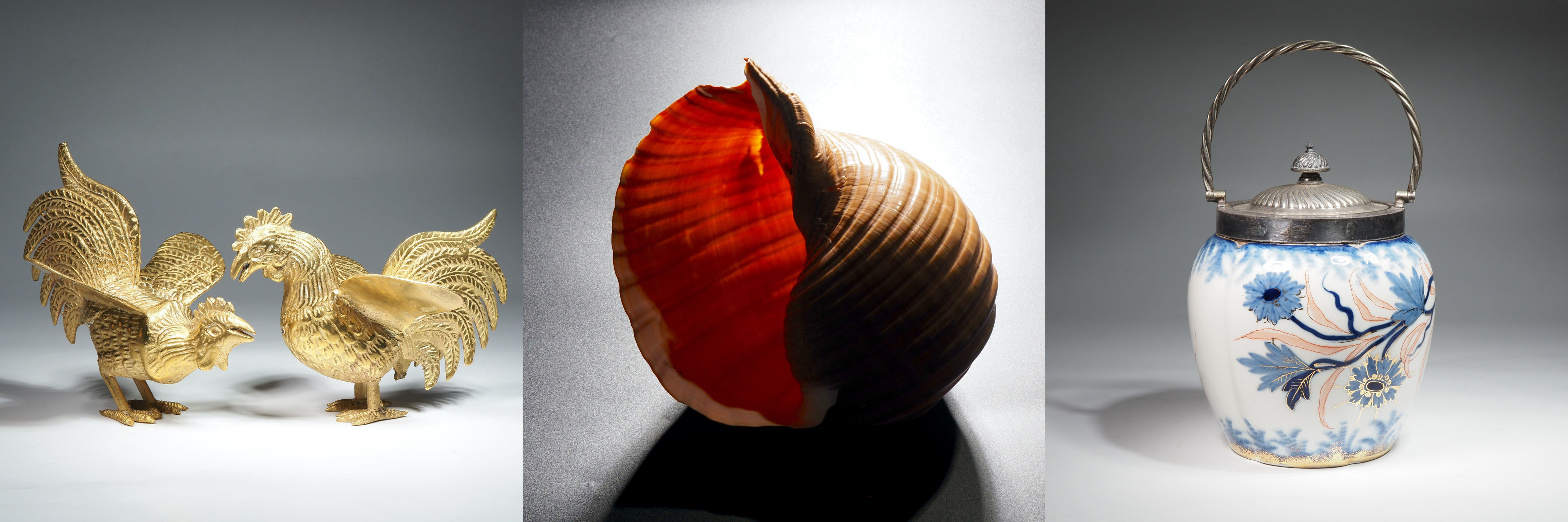 Shell, Crustacean & Collectible Auction